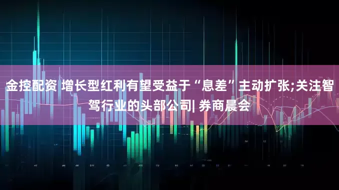金控配资 增长型红利有望受益于“息差”主动扩张;关注智驾行业的头部公司| 券商晨会